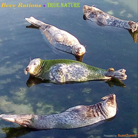 Beev Rations - True Nature