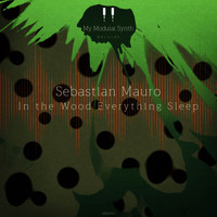 Sebastian Mauro - In the Wood Everything Sleep
