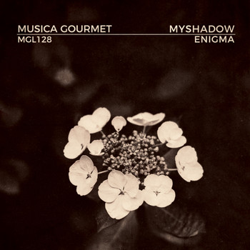 MyShadow - Enigma