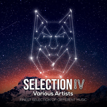 Various Artists - SELECTION 04