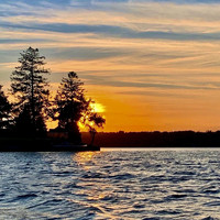 Cathy Swan - Sunrise to Sunset