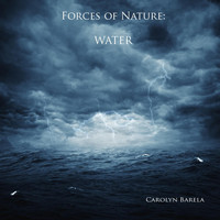 Carolyn Barela - Forces of Nature: Water