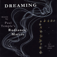 Paul Temple's RadianceMatrix - Dreaming
