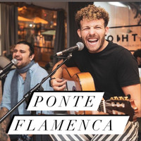 Cerrado por Vacaciones - Ponte Flamenca