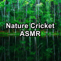 Sleep Crickets - Nature Cricket ASMR