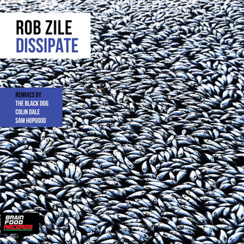 Rob Zile - Dissipate
