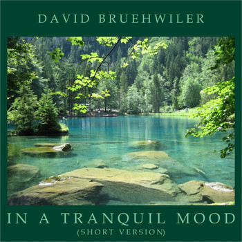 David Bruehwiler - In a Tranquil Mood (Short Version)