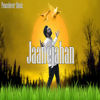Peacelover Music / - Jaanejahan