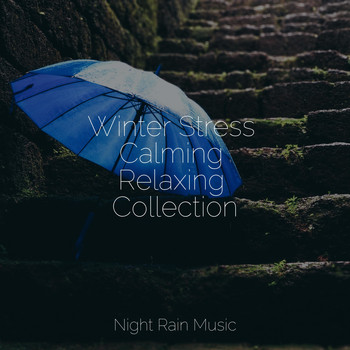 A Sudden Rainstorm, Big Sounds, Sleep Waves - Winter Stress Calming Relaxing Collection