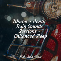 Meditation Music Club, Meditation Awareness, Zona Música Relaxante - Winter - Gentle Rain Sounds Sessions - Enhanced Sleep