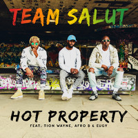 Team Salut - Hot Property