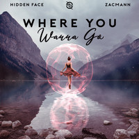 Hidden Face - Where You Wanna Go