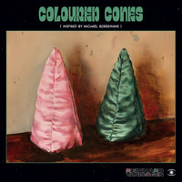 Reinhard Vanbergen - Coloured Cones (Inspired by Michaël Borremans)