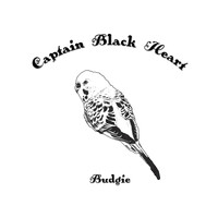 Captain Black Heart - Budgie (Instrumentals)