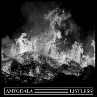 Amygdala - A Kind of Death in Life