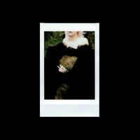 Fears - vines