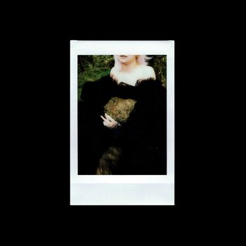 Fears - vines