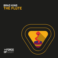 Brad King - The Flute