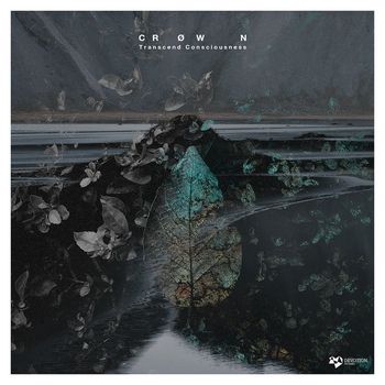 CRØWN - Transcend Consciousness