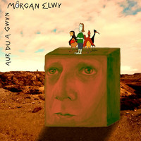 Morgan Elwy - Aur Du a Gwyn