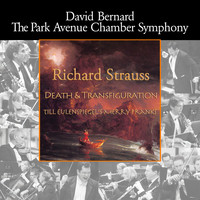 David Bernard & Park Avenue Chamber Symphony - Strauss: Death and Transfiguration & Till Eulenspiegel's Merry Pranks