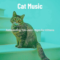 Cat Music - Astounding Trio Jazz - Bgm for Kittens