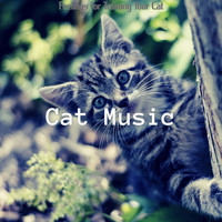 Cat Music - Feelings for Training Your Cat