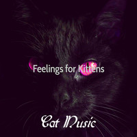Cat Music - Feelings for Kittens