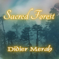 Didier Merah - Sacred Forest