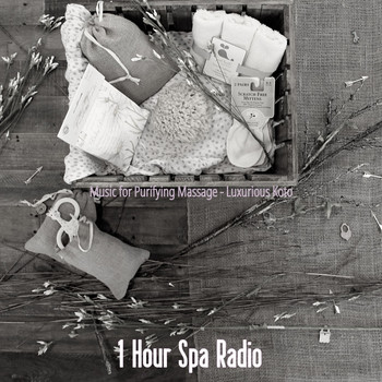 1 Hour Spa Radio - Music for Purifying Massage - Luxurious Koto
