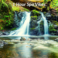 1 Hour Spa Vibes - Incredible Koto and Harp - Background for Facial Therapy