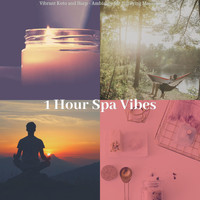 1 Hour Spa Vibes - Vibrant Koto and Harp - Ambiance for Purifying Massage
