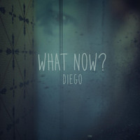 Diego - What Now?