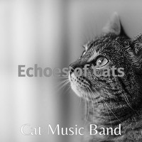Cat Music Band - Echoes of Cats