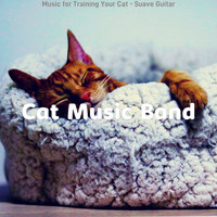 Cat Music Band - Music for Training Your Cat - Suave Guitar