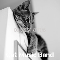 Cat Music Band - Echoes of Kittens