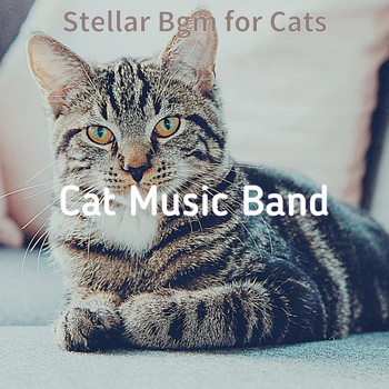 Cat Music Band - Stellar Bgm for Cats