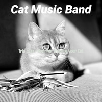 Cat Music Band - Trio Jazz - Bgm for Training Your Cat