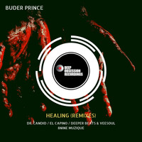 Buder Prince - Healing (Remixes)