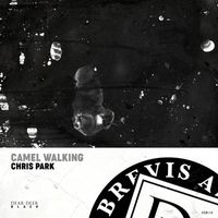 Chris Park - Camel Walking