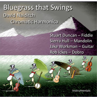 David Naiditch - Bluegrass That Swings