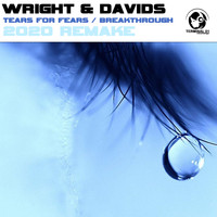 Wright & Davids - Tears For Fears / Breakthrough 2020 Remake