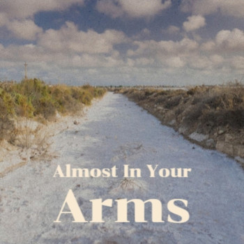 Various Artist - Almost In Your Arms