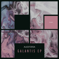 Auditoria - Galantis EP