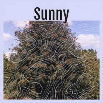 Various Artist - Sunny