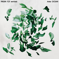 Furguson - Ocean (Aries Remix)