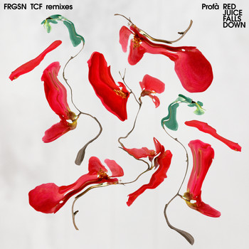 Furguson - Red Juice Falls Down (Profà Remix)