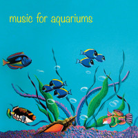 Douglas Morton - Music for Aquariums