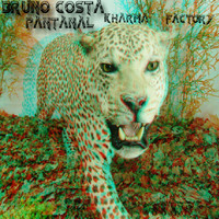 Bruno Costa - Pantanal
