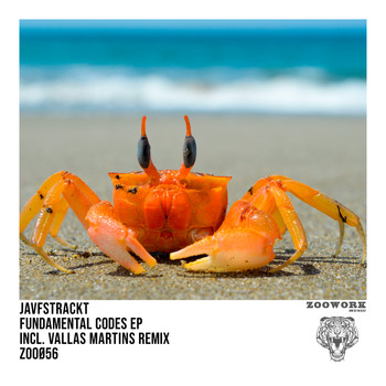 Javfstrackt - Fundamental Codes